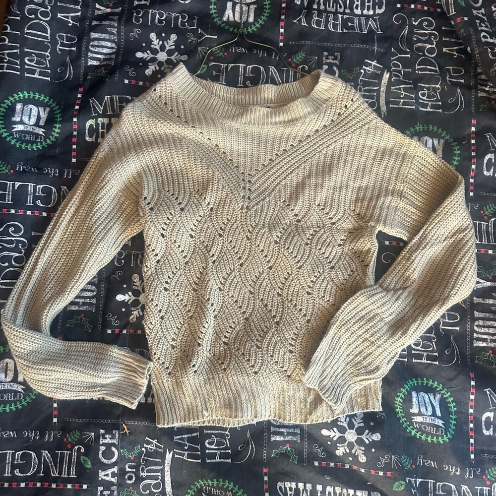 Cozy Beige Knit Sweater NWOT
